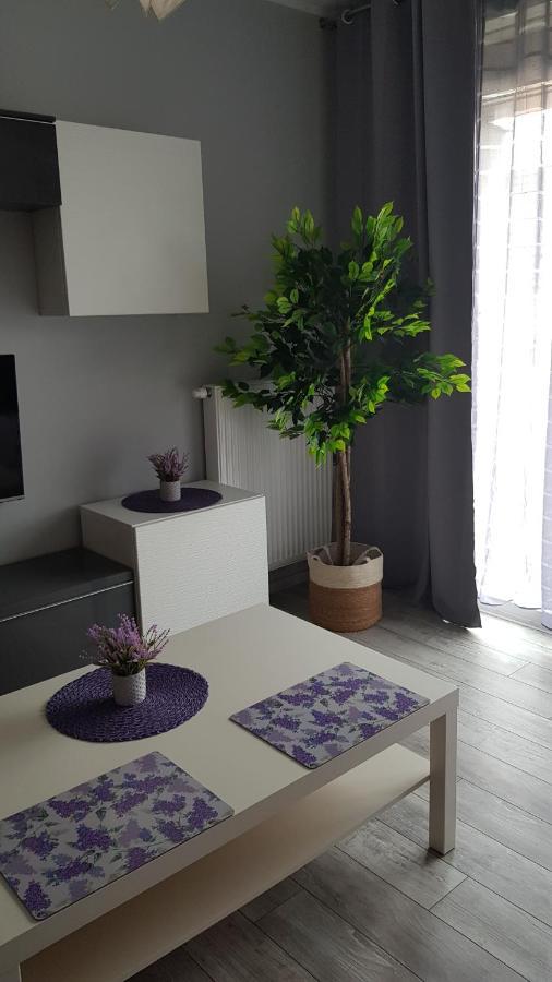 Boznicza Old Town Lux Apartment, Self Check-In 24H, Free Parking Poznan Dış mekan fotoğraf
